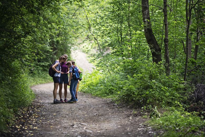 Kinder wandern durch einen Wald. Kinder wandern durch einen Wald.