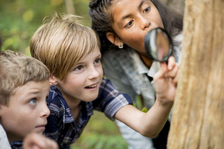 Cool Discovery Kinder nehmen den Wald unter die Lupe.