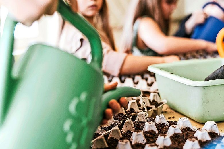 Kinder am Gärtnern. Kinder am Gärtnern.