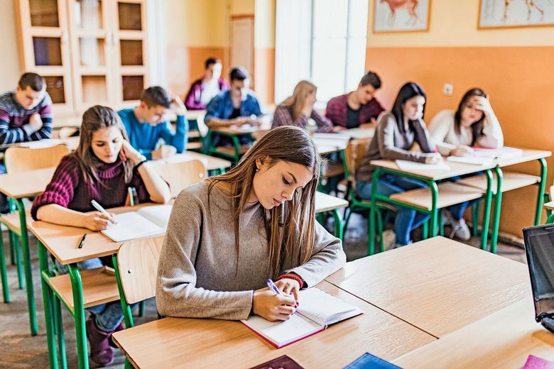 1035407202 Schülerinnen und Schüler im Unterricht.