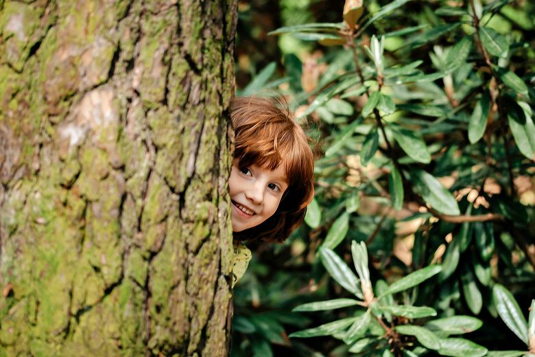 1347721144 The child walks in the park.