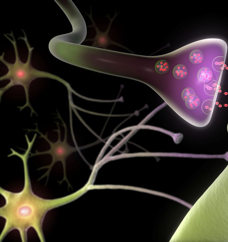 Synapse und Neuronen.