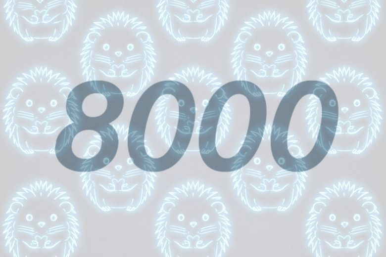 Auf dem Foto ist die Zahl 8000 zu sehen. Im Hintergrund leuchten blaue Igelfiguren.